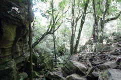 neuseeland-abbey-caves-02