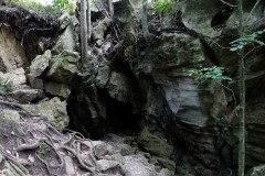 neuseeland-abbey-caves-08
