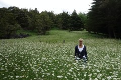 neuseeland-abbey-caves-09