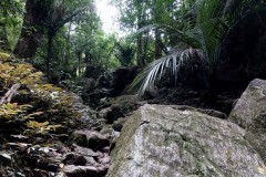 neuseeland-abbey-caves-12