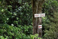 neuseeland-abbey-caves-14