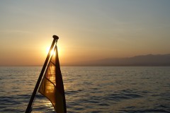 bawean-03