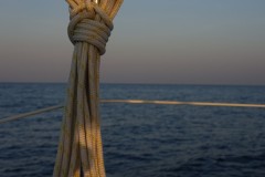 bawean-04