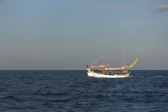 bawean-05
