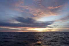 bawean-15