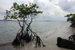 benan-08