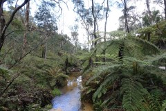 blue-mountains-6