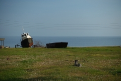DSC00971_small