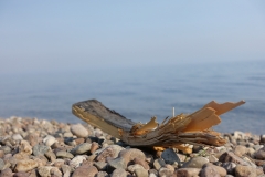 DSC00982_small