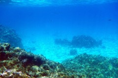 französisch-polynesien-bora-bora-coral-garden-07