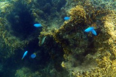 französisch-polynesien-bora-bora-matira-beach-02