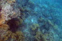 französisch-polynesien-bora-bora-matira-beach-03