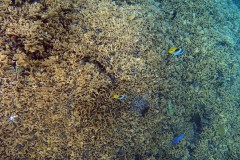 französisch-polynesien-bora-bora-matira-beach-09