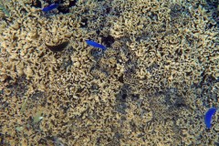 französisch-polynesien-bora-bora-matira-beach-10