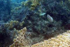französisch-polynesien-bora-bora-matira-beach-12