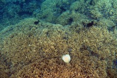 französisch-polynesien-bora-bora-matira-beach-14