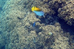 französisch-polynesien-bora-bora-matira-beach-16