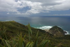neuseeland-cape-reinga-03