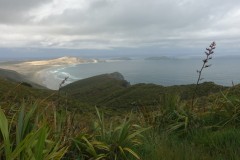 neuseeland-cape-reinga-05