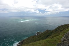 neuseeland-cape-reinga-06
