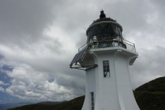 neuseeland-cape-reinga-11