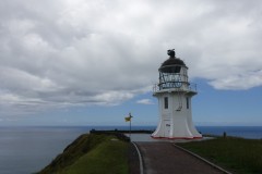 neuseeland-cape-reinga-15