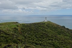 neuseeland-cape-reinga-17