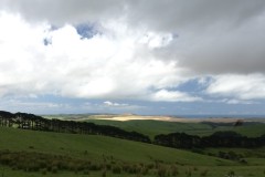 neuseeland-cape-reinga-18