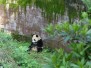 Chengdu