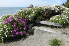 neuseeland-christchurch-05