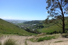 neuseeland-christchurch-12