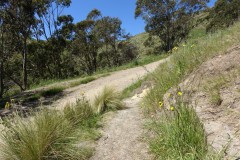 neuseeland-christchurch-13