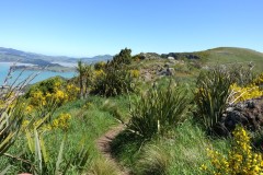 neuseeland-christchurch-17