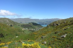 neuseeland-christchurch-18