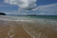 neuseeland-coromandel-04