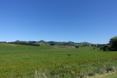 neuseeland-dunedin-01