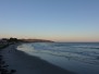 Dunedin