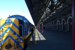 neuseeland-dunedin-08