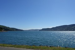 neuseeland-dunedin-14