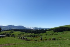 neuseeland-dunedin-15