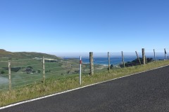 neuseeland-dunedin-18