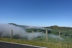 neuseeland-dunedin-19