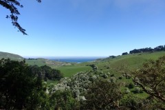neuseeland-dunedin-20