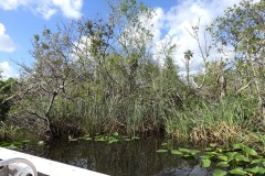 usa-florida-everglades-02