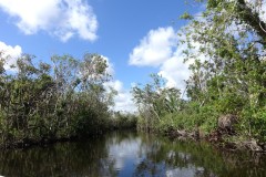 usa-florida-everglades-03