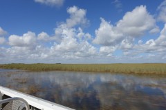 usa-florida-everglades-04