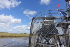 usa-florida-everglades-07