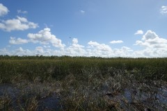 usa-florida-everglades-10