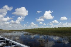 usa-florida-everglades-11