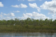 usa-florida-everglades-12